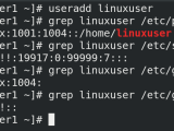 Linux User Management Explained With Examples