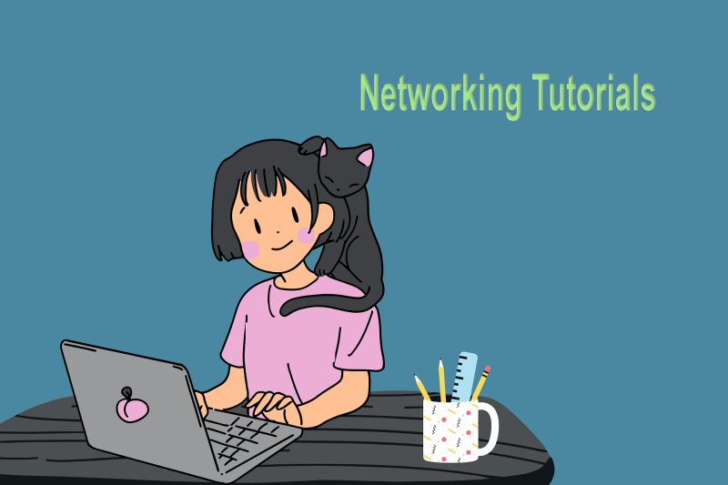 Introduction To Networking Networking Tutorials For Beginners - Best Dark Photos in Ultra HD