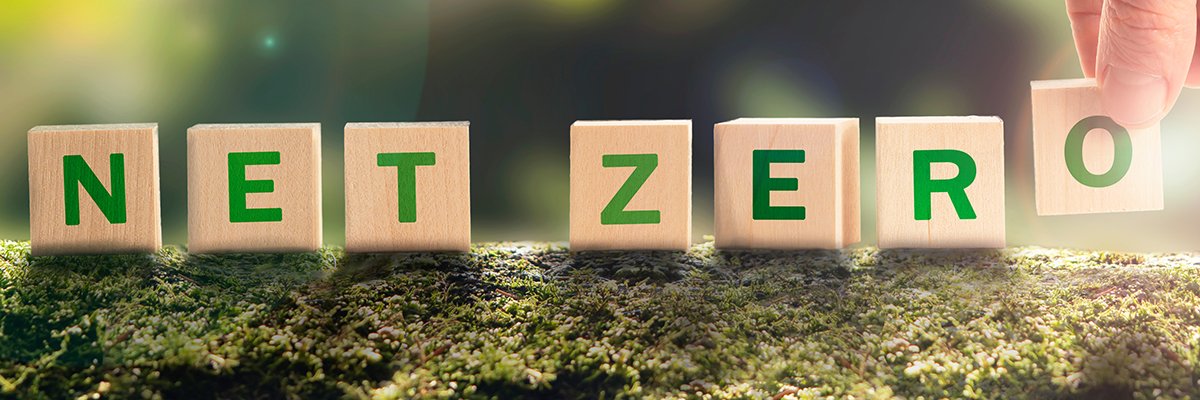 An action plan for net-zero compatible with budget constraints | Computer Weekly