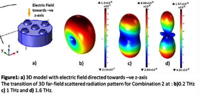 Studying The Scattering Of Electromagnetic Wave By A Composite 3d Model At Terahertz Frequencies