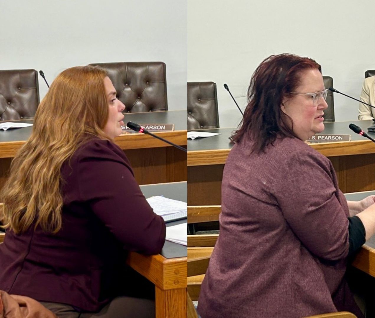Reps. Ellen Read (left) and Kris Schultz testify at a public hearing on Read's bill to investigate the Coalition Against Domestic and Sexual Violence in February 2026.