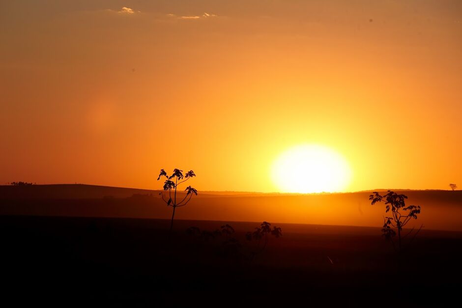 Primavera deve ser mais quente que o normal em Mato Grosso do Sul