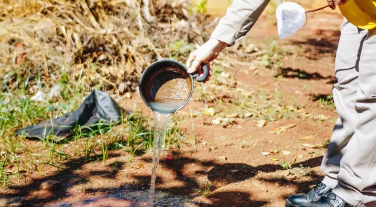 Mato Grosso do Sul registra mais de 8 mil casos confirmados de dengue em 2025