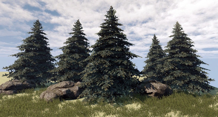 Bim Object Image Entourage Fir Tree 17 Plants 2d Images Polantis Free 3d Cad And Bim Objects Revit Archicad Autocad 3dsmax And 3d Models