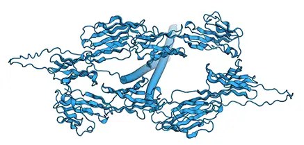 Prediction of CD4