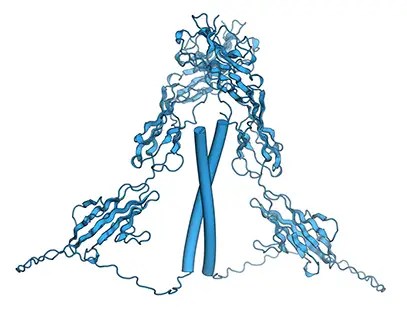 Prediction of Siglec-6