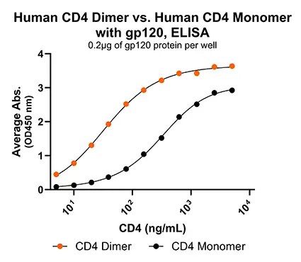 CD4 monomer and dimer with gp120