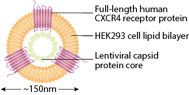 example-cmp-diagram example-cmp-diagram