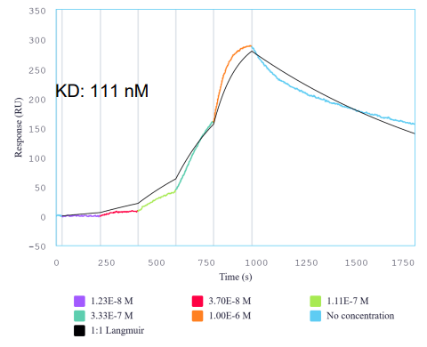IFNaR1-R2 heterodimer protein binding