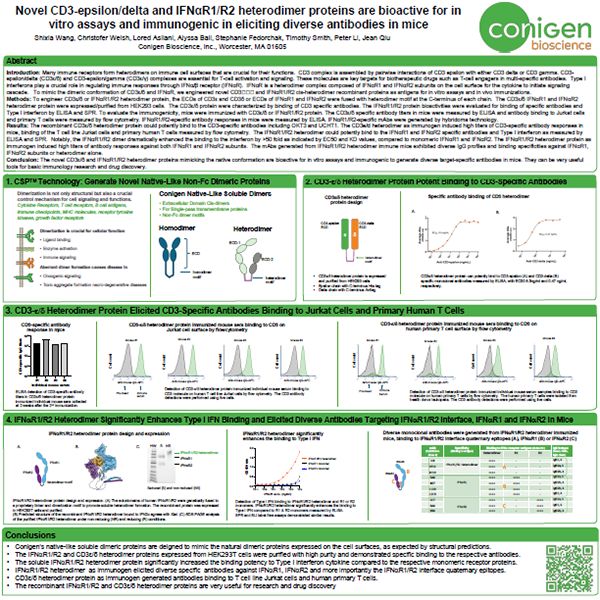 cd3 poster