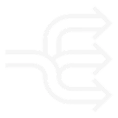 Multiple directional arrows icon