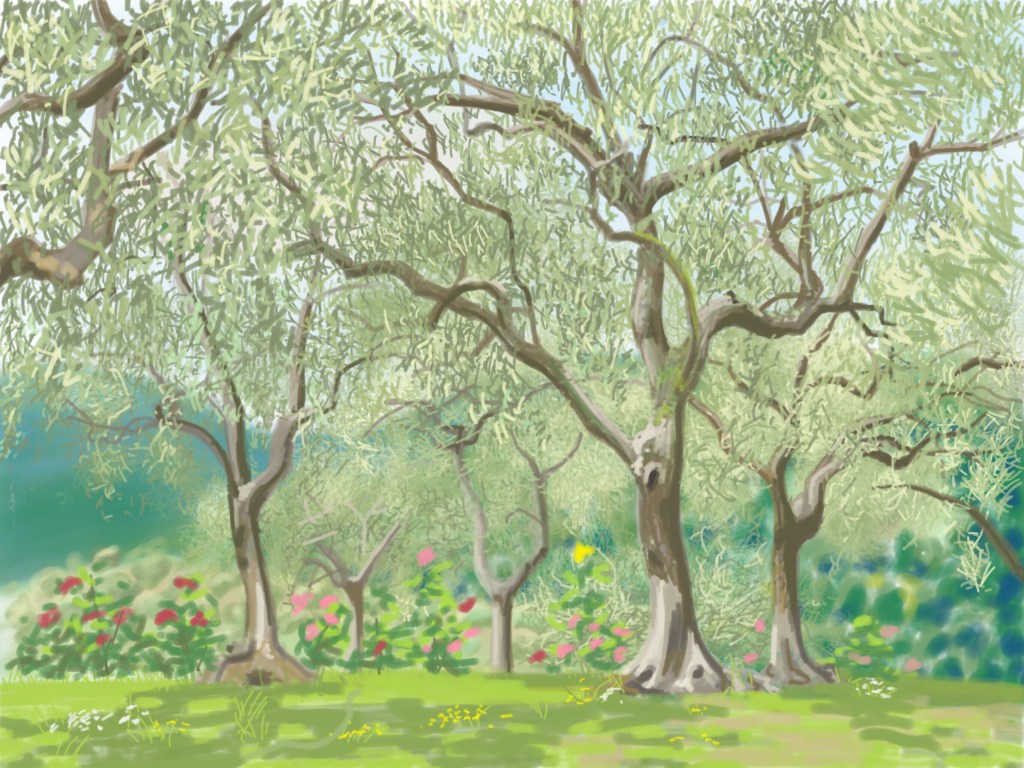 Olivenhain, Digital, 2016