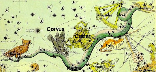 Corvus, Raven.jpg