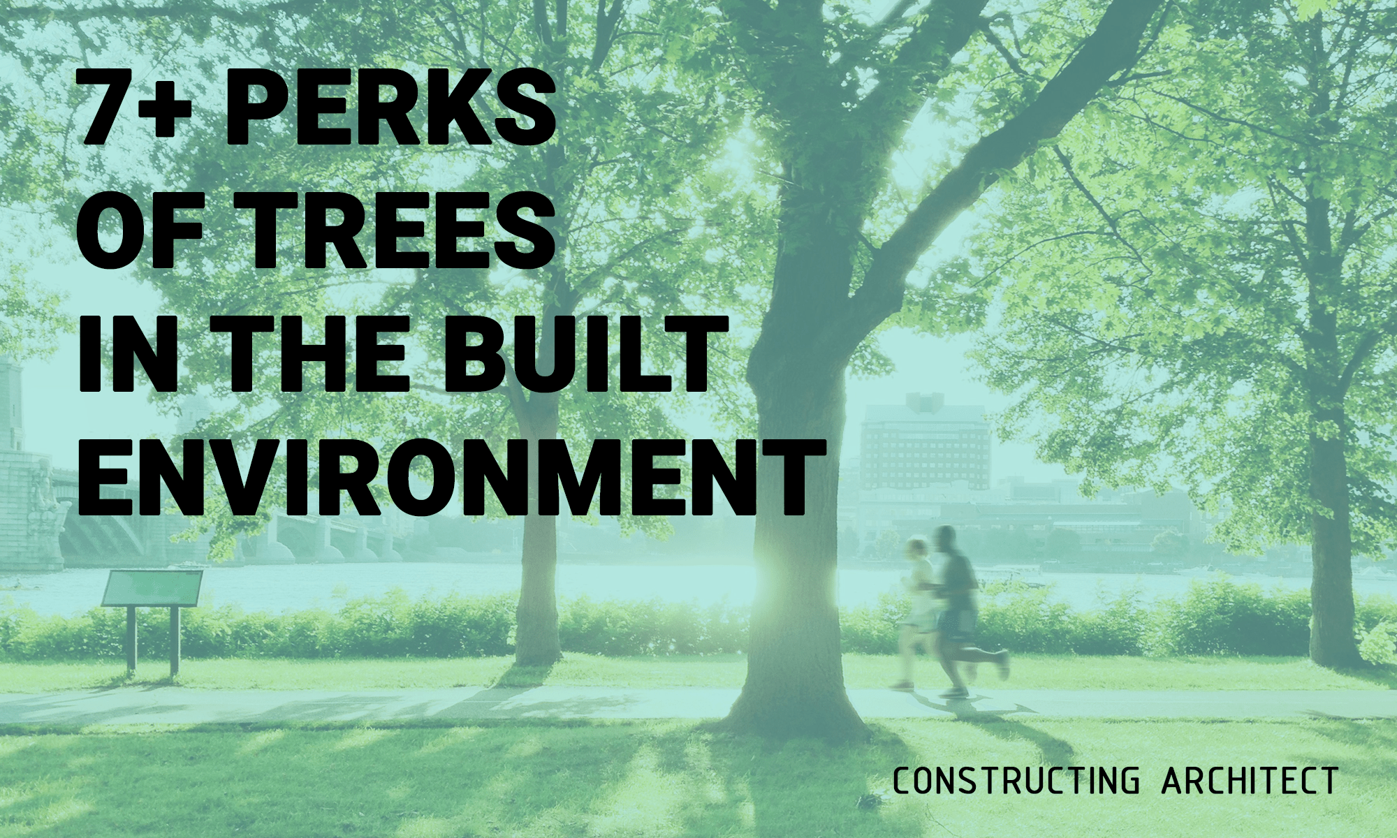 You are currently viewing 7+ Perks of trees in the built environment