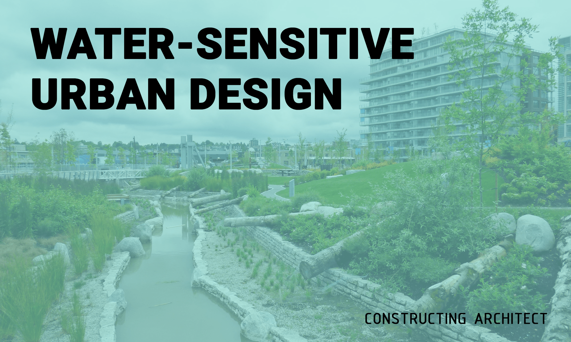 Read more about the article Water-sensitive urban design