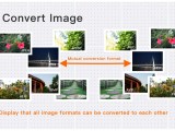Free Online Gif To Avif Converter Bulk Convert Animated Gifs To Avif