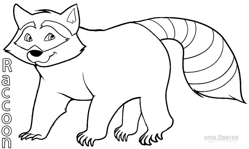 pencil+drawing+raccoon | Raccoon wildlife pencil drawing ...