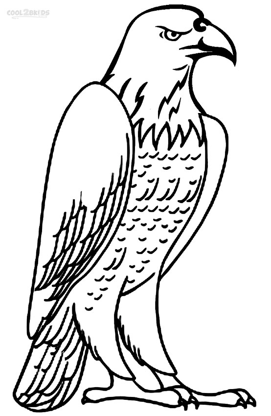 printable bald eagle coloring pages for kids cool2bkids