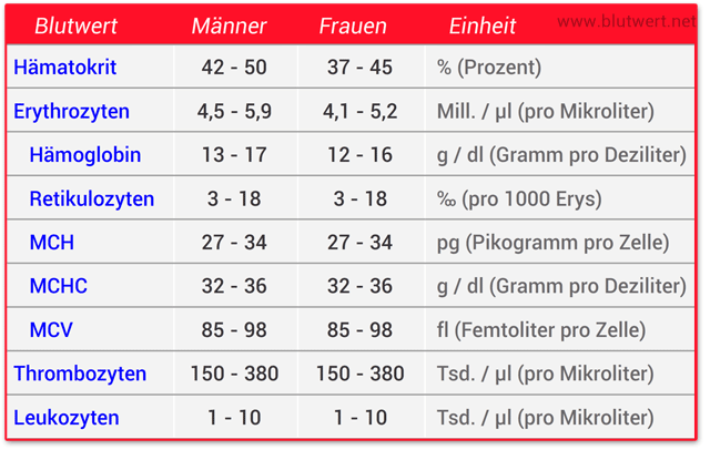 Kleines blutbild (bbkl oder kbb). Blutbild