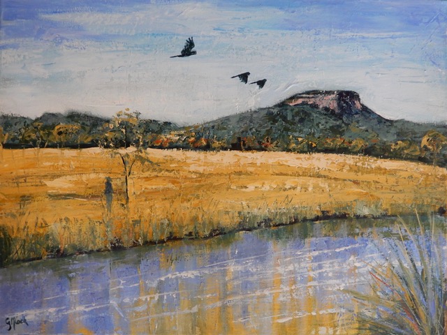 Storm Birds Over Ninderry