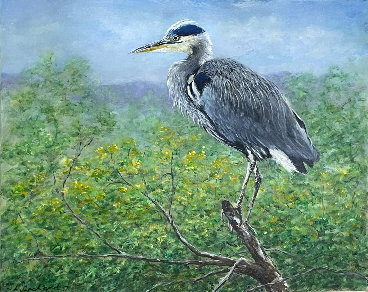 Blue Heron