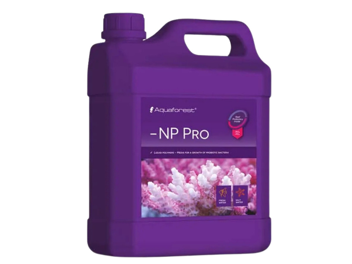 AFNP2000.jpeg