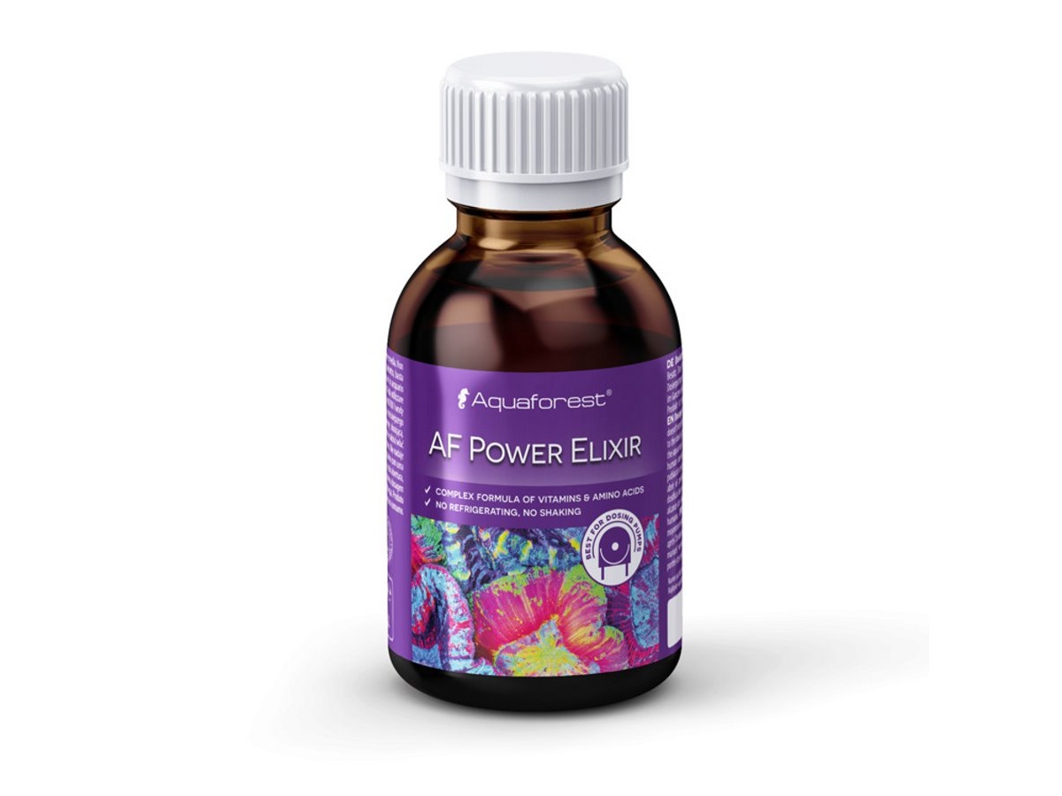 AFPE0200.jpeg