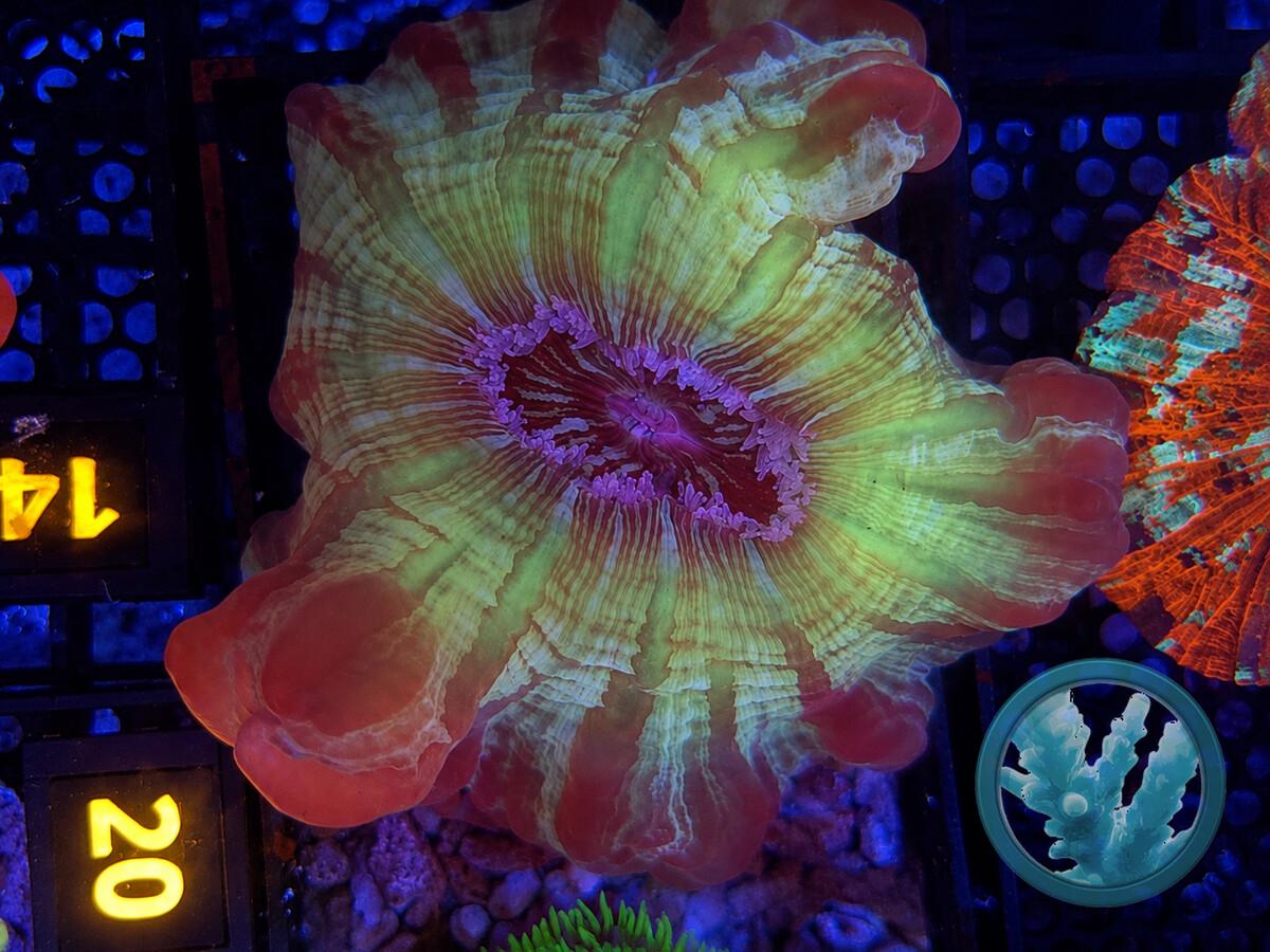 CYNA0011.jpeg