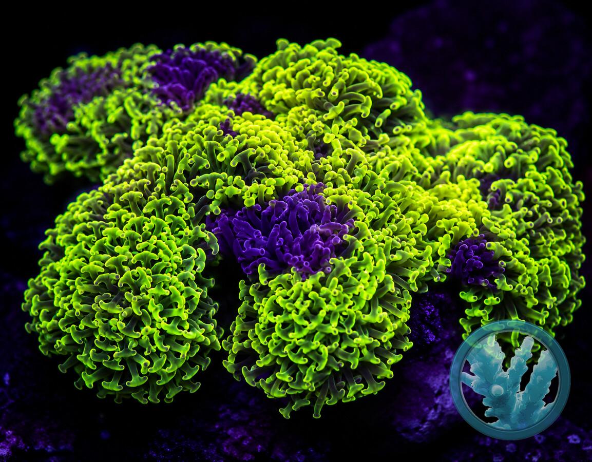 EUPA0010.jpeg