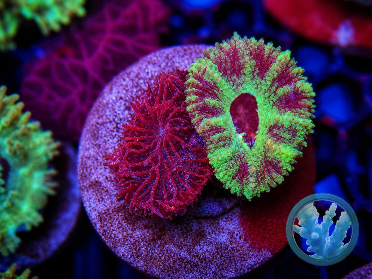 ACAN0260000.jpeg