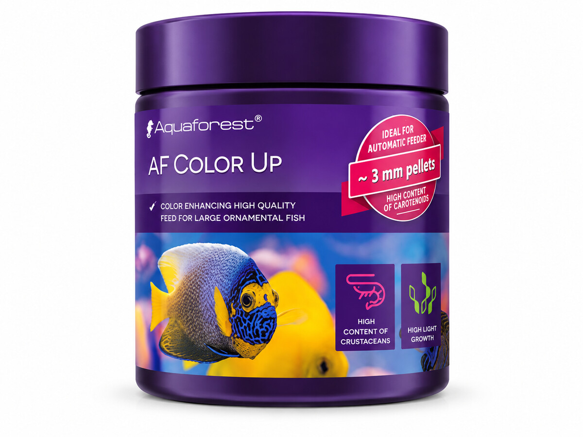 AFCU0120.jpeg