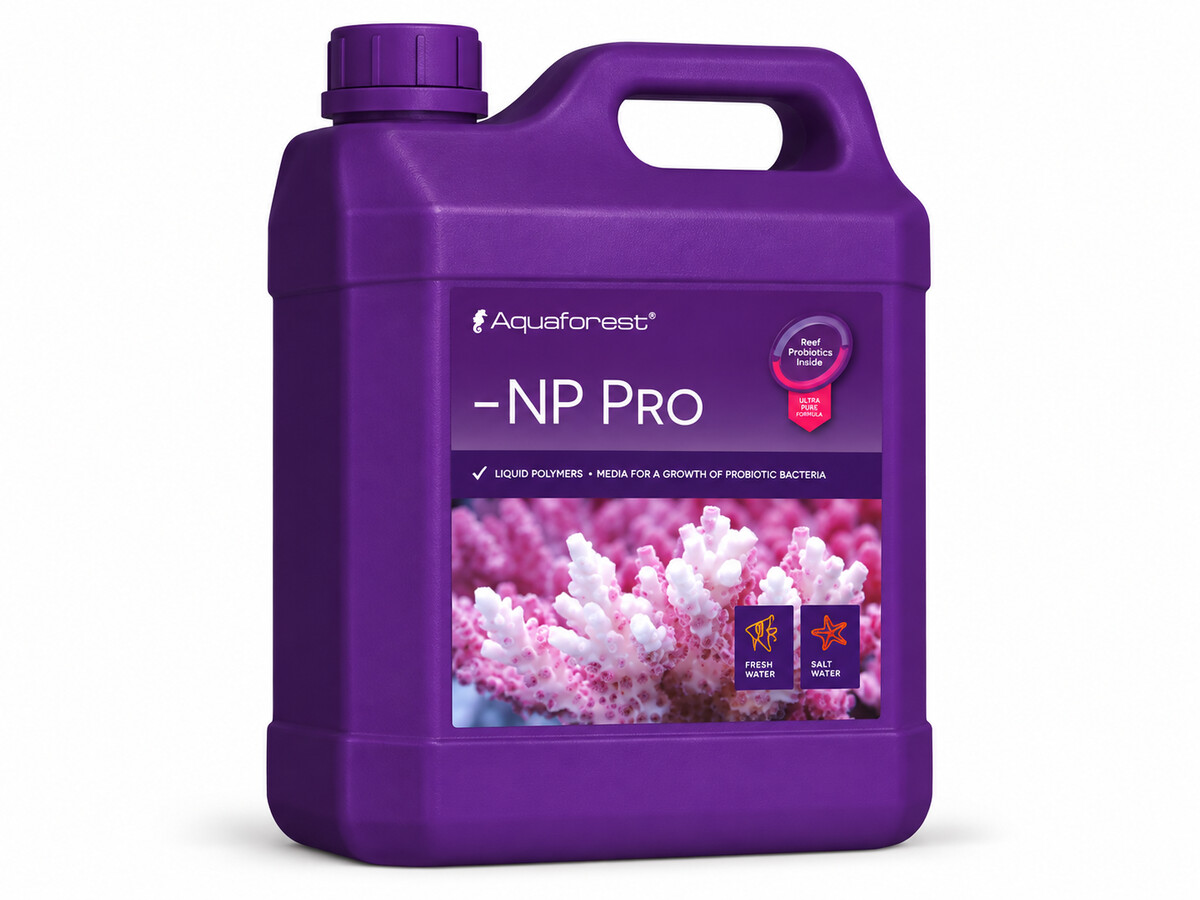 AFNP2000.jpeg
