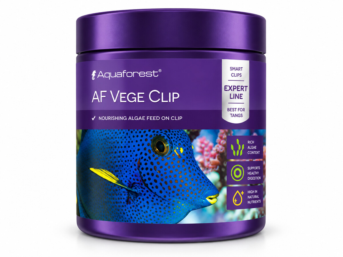 AFVC0120.jpeg