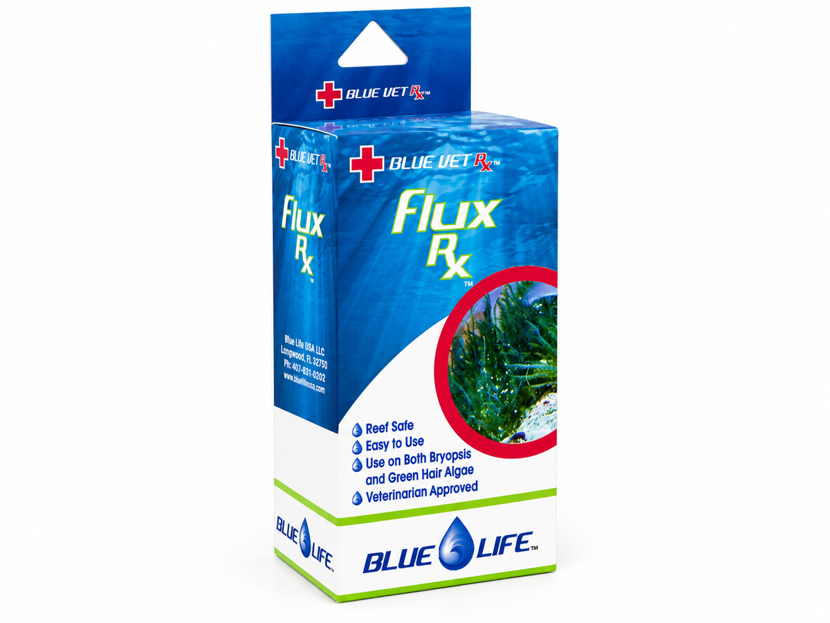 BLUELIFE-120.jpeg