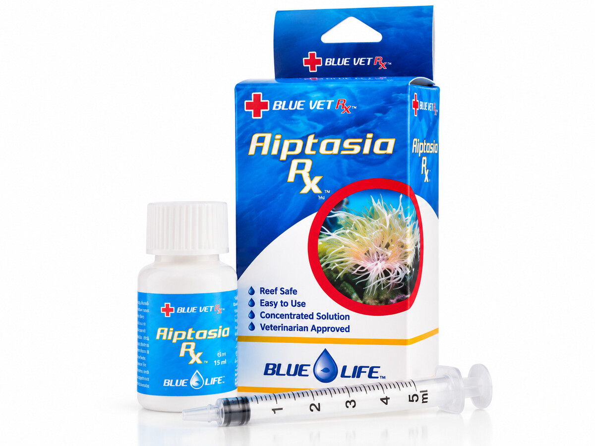 BLUELIFE-122.jpeg