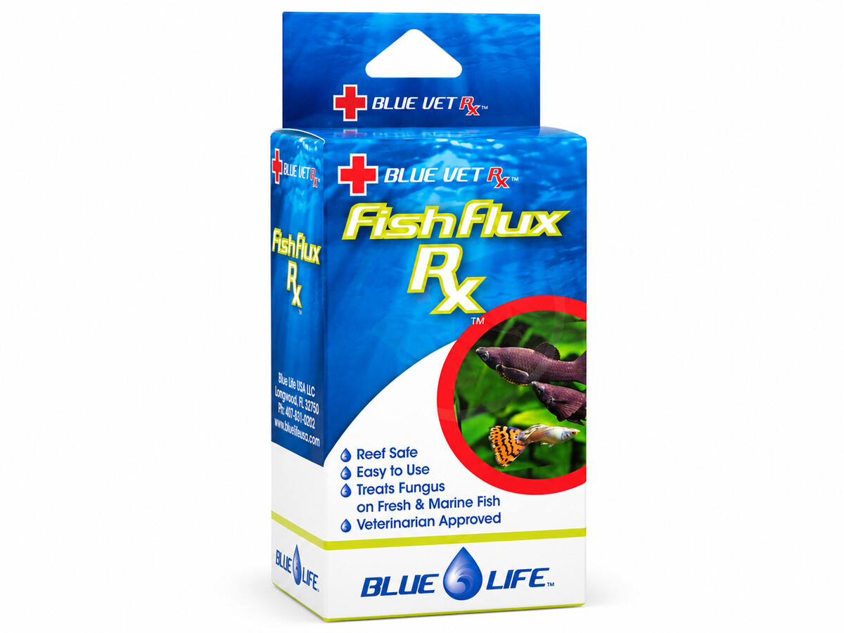 BLUELIFE-141.jpeg