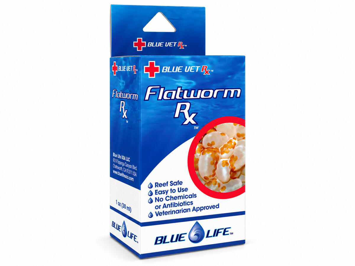 BLUELIFE-225.jpeg