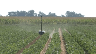 Potential hazardous chemicals could be reduced with help of robots Potential hazardous chemicals could be reduced with help of robots