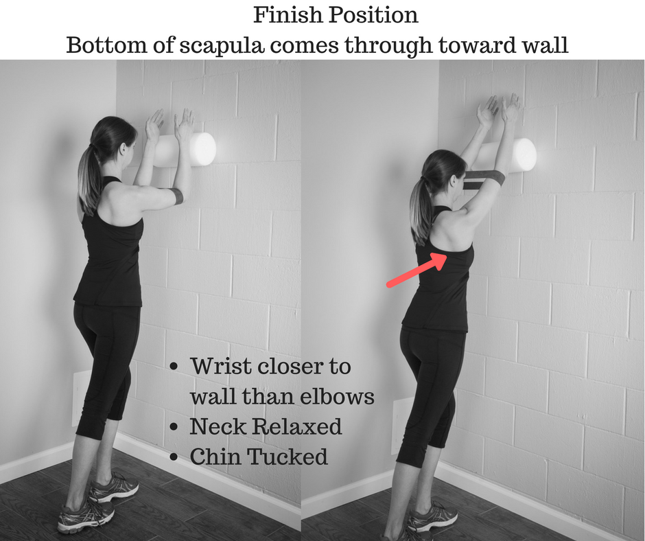 The Serratus Anterior A Secret Weapon for Great Posture Dr. Sarah Ellis Duvall jpg (940x788)