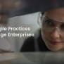 Scaling Agile Practices Across Large Enterprises