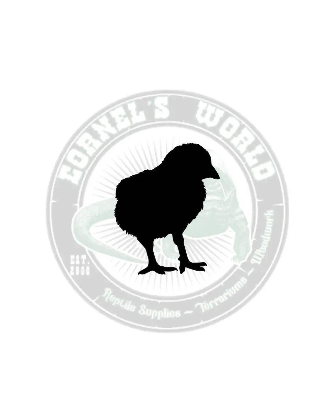 Feeder Chicks Bag of 20