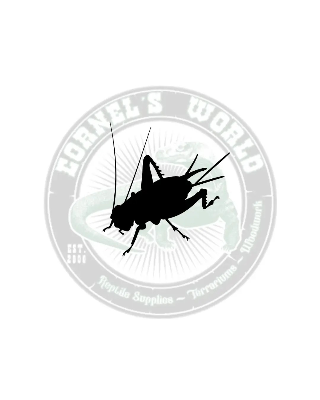 LF CRICKET