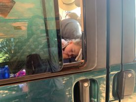 Jane napping