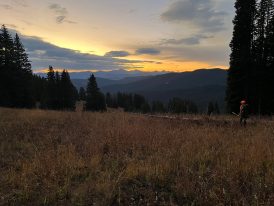 Sunrise