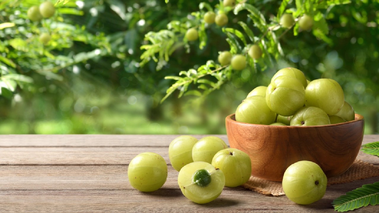 Top 10 Health Benefits of Amla: The Indian Superfruit