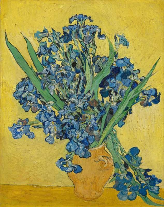 Irises - Image 3