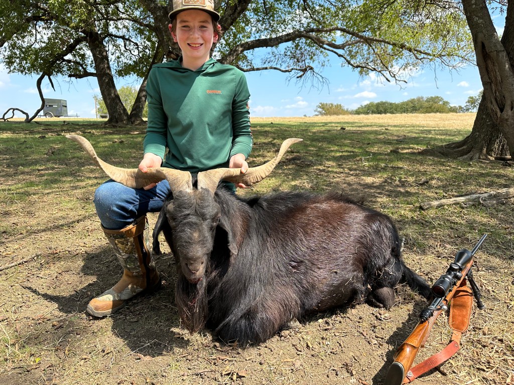 Texas Concho Exotic Hunting
