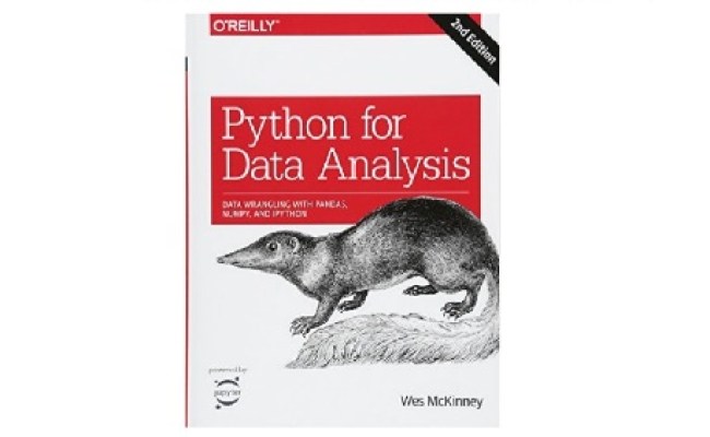 Python For Data Analysis: Data Wrangling With Pandas, NumPy, And ...