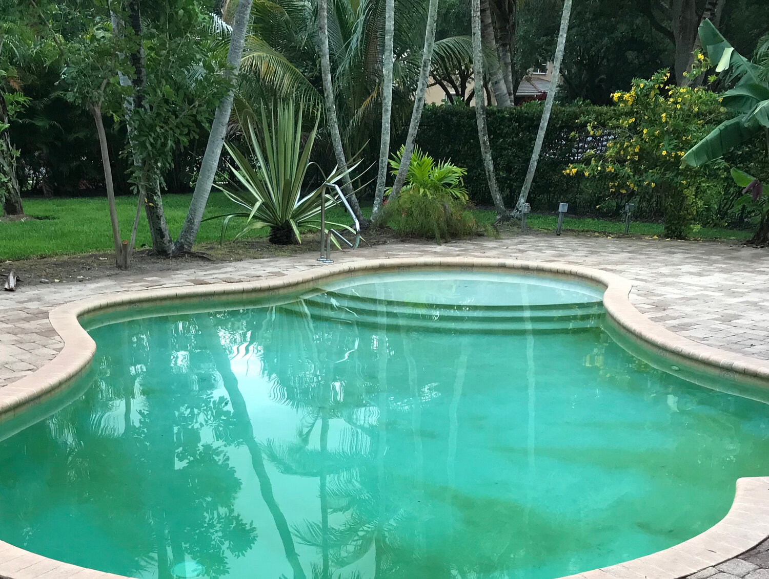 Yellow Pool? How to Get Rid of Mustard Algae Now! Pool Enclosures & Patio Enclosures and Sunrooms