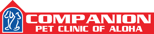 staff companion pet clinic of aloha on companion pet clinic beaverton
